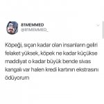 g7.jpg