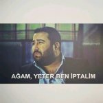 images (41).jpeg