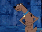 giphy (4).gif