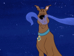 gif-scooby-doo-Favim.com-3488017.gif