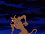 gif-scooby-doo-Favim.com-3401938.gif