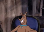 giphy (12).gif