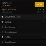 Screenshot_20191209_224821_com.android.chrome~2.jpg