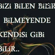 insafsz