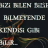 insafsz